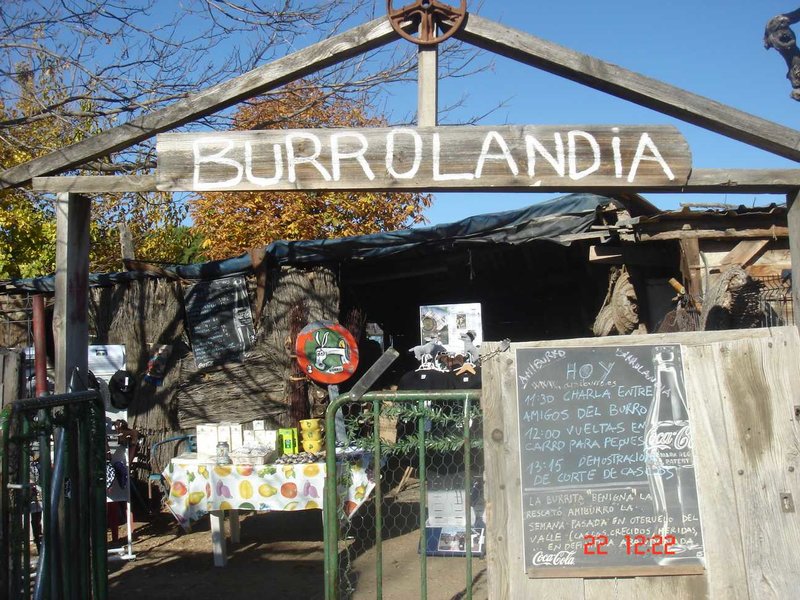 Burrolandia