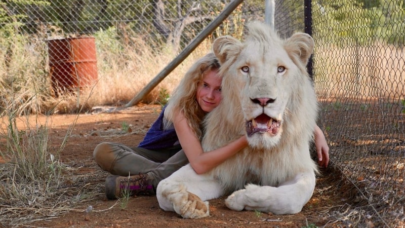 Mía y el león blanco estreno en cines